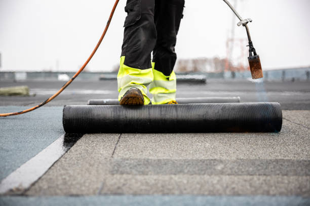 Best Asphalt Shingle Roofing  in Vineyard, CA